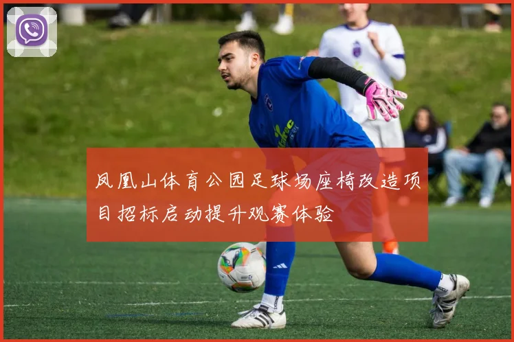 凤凰山体育公园足球场座椅改造项目招标启动提升观赛体验