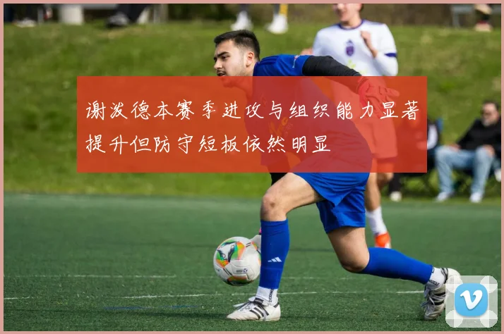 谢泼德本赛季进攻与组织能力显著提升但防守短板依然明显