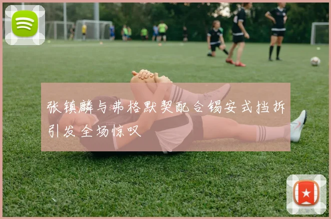 张镇麟与弗格默契配合锡安式挡拆引发全场惊叹